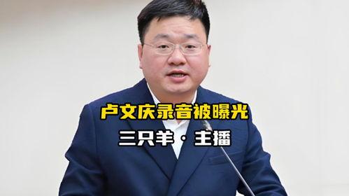 吃瓜网卢文庆录音,揭秘娱乐圈幕后真相