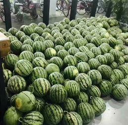 2023校园吃瓜爆料,揭秘校园吃瓜爆料背后的故事